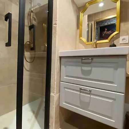 Pour Les Fans Dharry Potter Le Gryffondor Appartement Grenoble