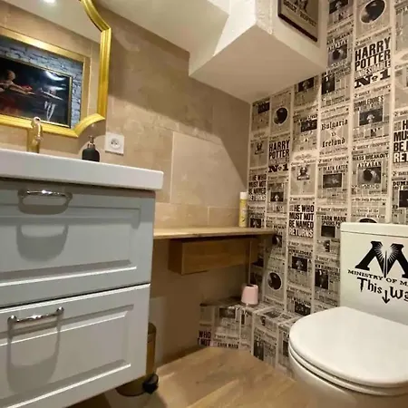 Pour Les Fans Dharry Potter Le Gryffondor Appartement Grenoble